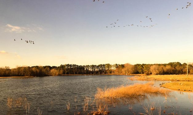 Wheeler National Wildlife Refuge