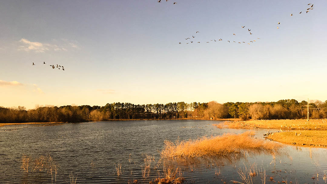 Wheeler National Wildlife Refuge
