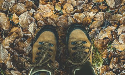 Hiking Books about Alabama