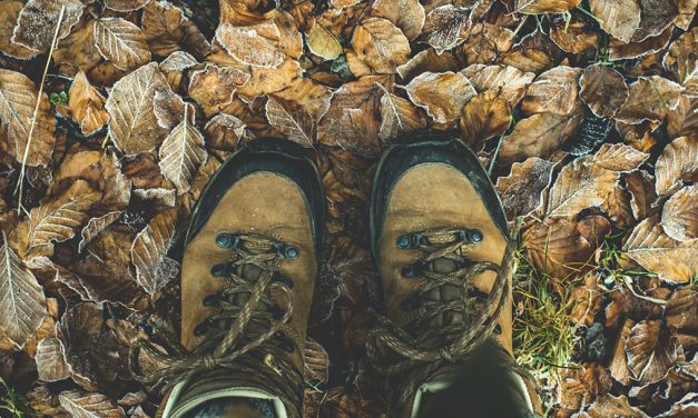 Hiking Books about Alabama