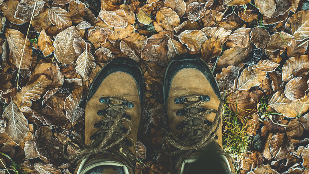 Hiking Books about Alabama