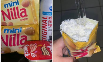 Walking Banana Puddin’