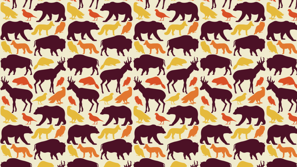 Critter Items for Sale